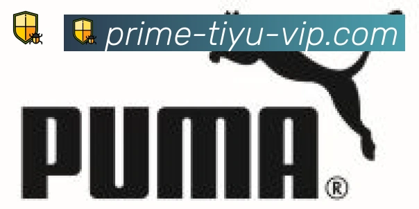 TVT体育合作伙伴